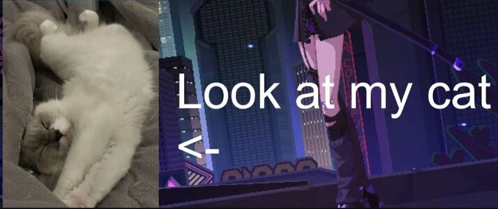 Capture.JPG