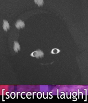 sorc.jpg