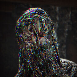 Molded1.jpg