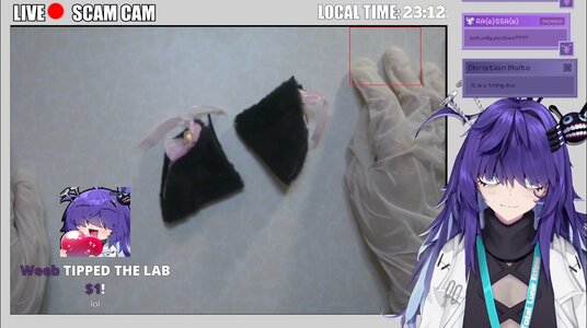 surprise-cat-ears.jpg