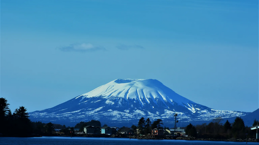 AdobeStock_368534688.png
