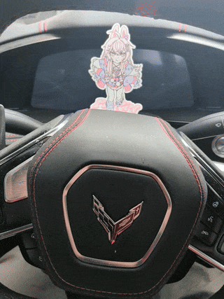 dsenir.gif