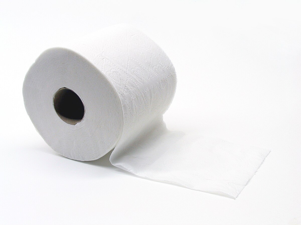 1200px-Toiletpapier_%28Gobran111%29.jpg