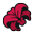 www.orchideight.com