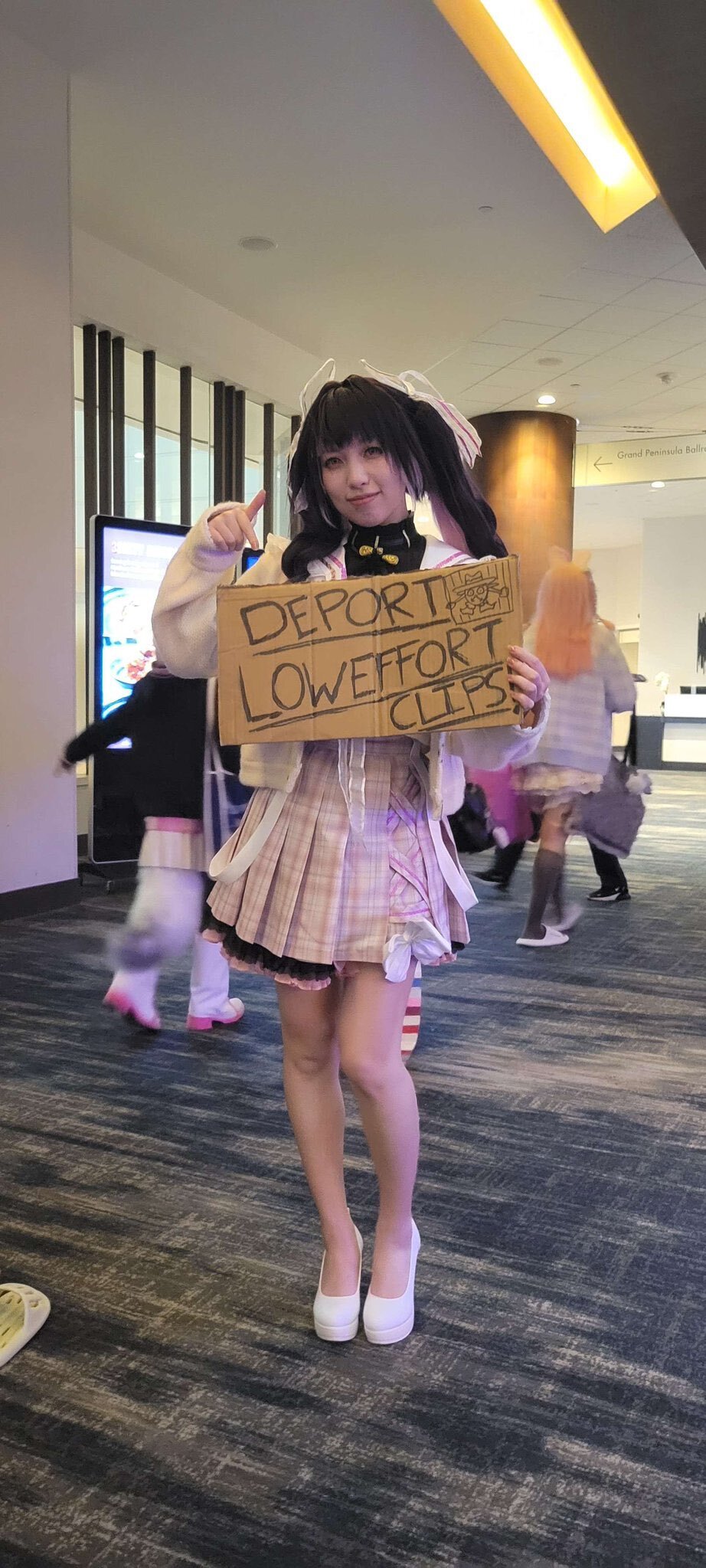 lt6b5c.jpg