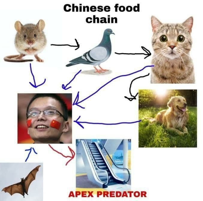 chinesefoodchain.png