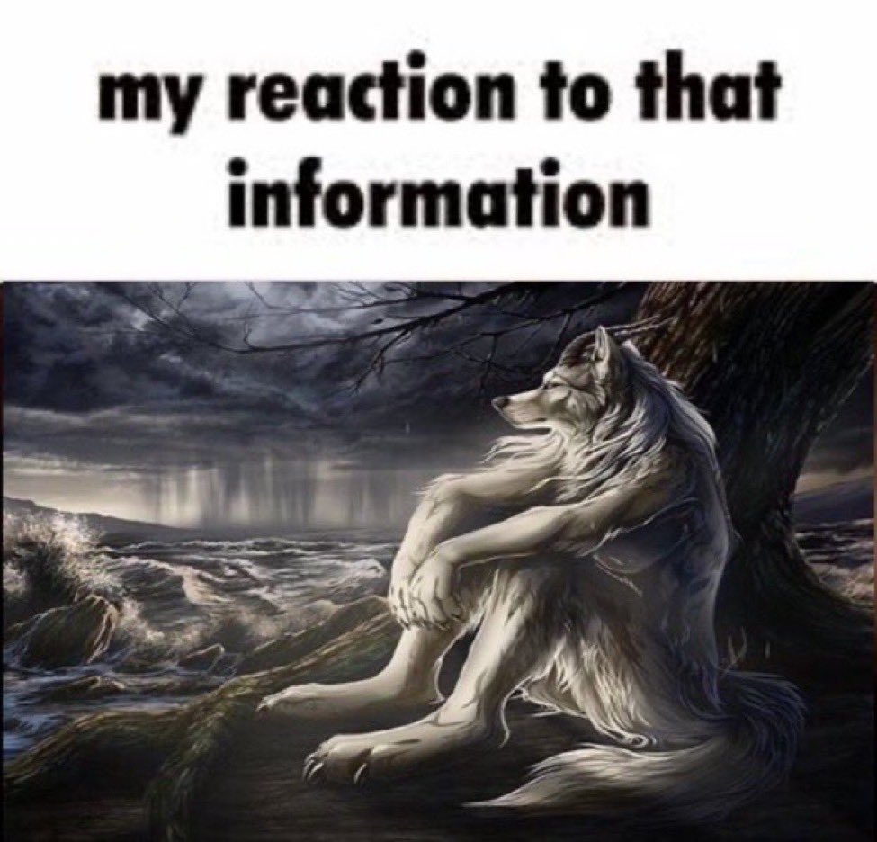 Lobo Solitario / Wolf Sitting Meme | Sitting Wolf | Know Your Meme