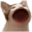 popcat.click