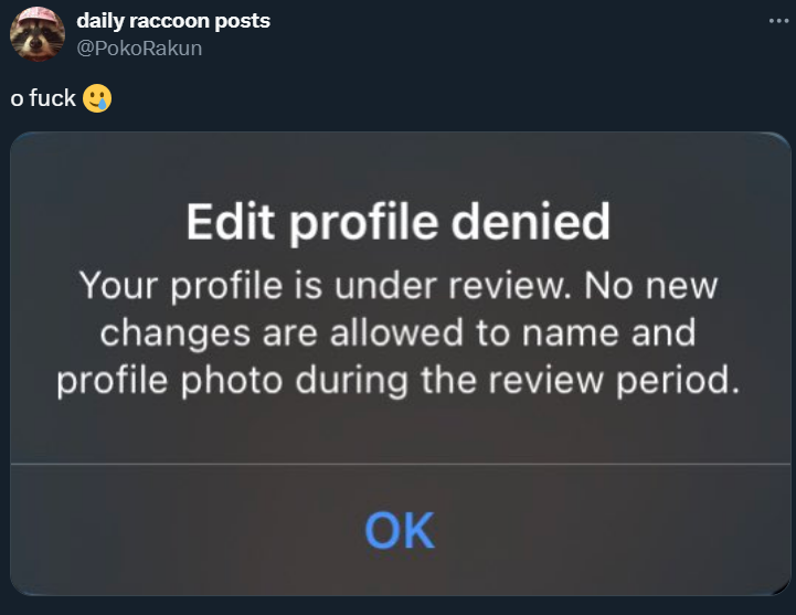 daily-raccoon-posts-on-X-o-fuck-https-t-co-l6v-STW88-SV-X.png