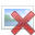 PaleResponsibleAdamsstaghornedbeetle-size_restricted.gif