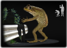 220px-Loveland_frog.png